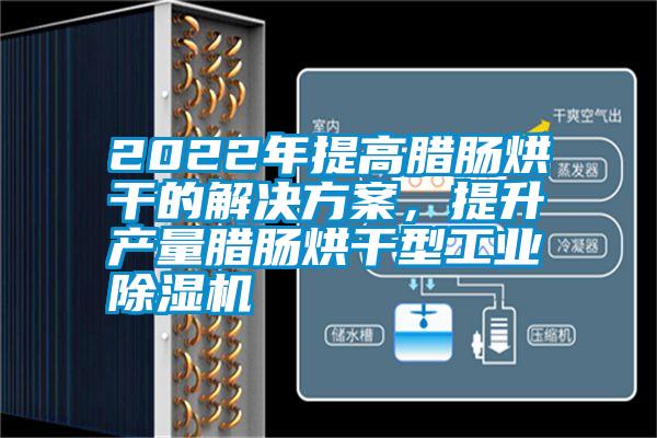 2022年提高臘腸烘干的解決方案，提升產(chǎn)量臘腸烘干型工業(yè)除濕機(jī)