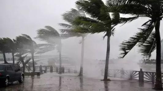 8月臺(tái)風(fēng)雨即將來，除濕機(jī)還得用起來