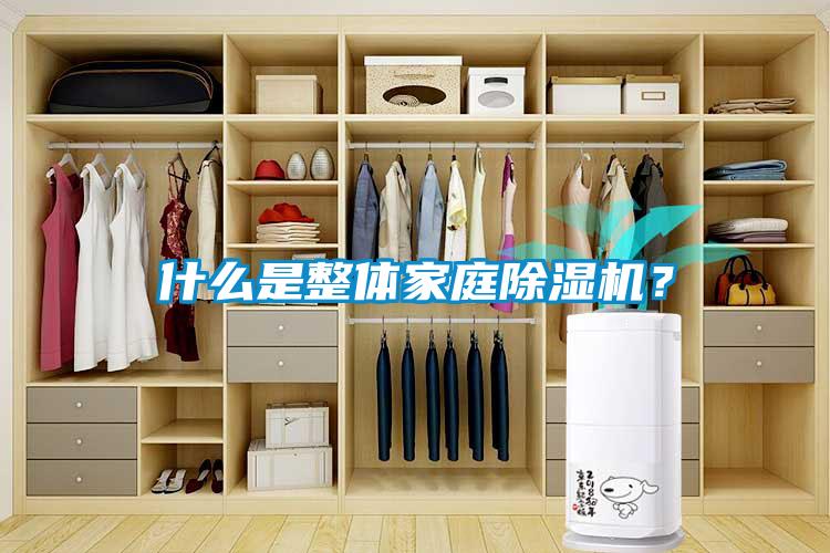 什么是整體家庭除濕機(jī)？