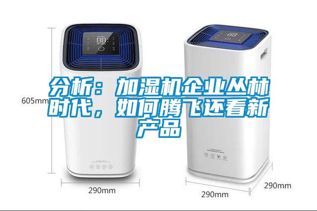 分析：加濕機企業(yè)叢林時代，如何騰飛還看新產(chǎn)品