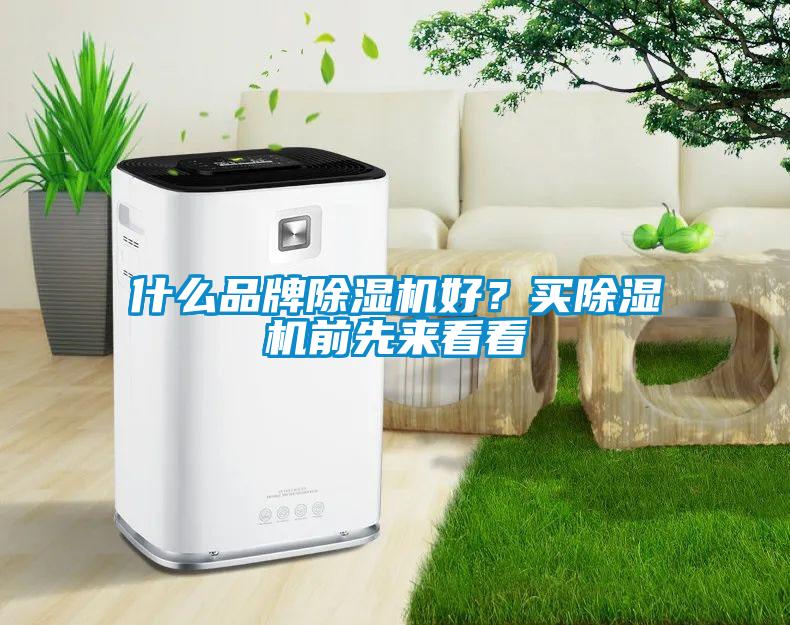 什么品牌除濕機好？買除濕機前先來看看