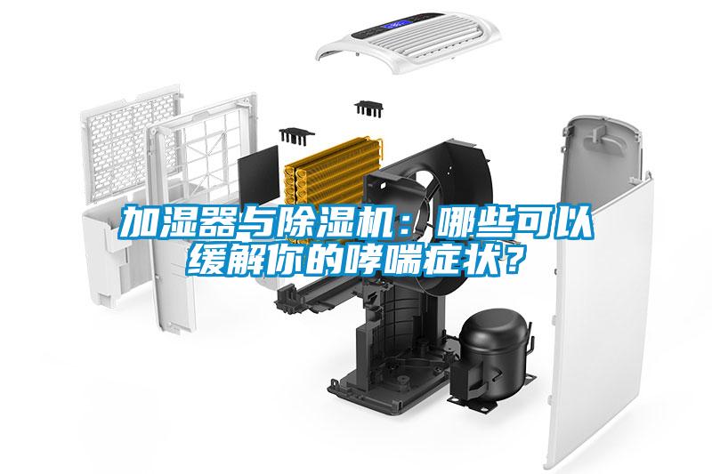 加濕器與除濕機(jī)：哪些可以緩解你的哮喘癥狀？