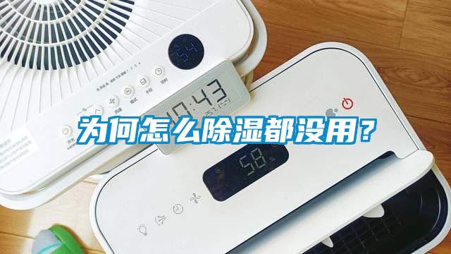 為何怎么除濕都沒用？