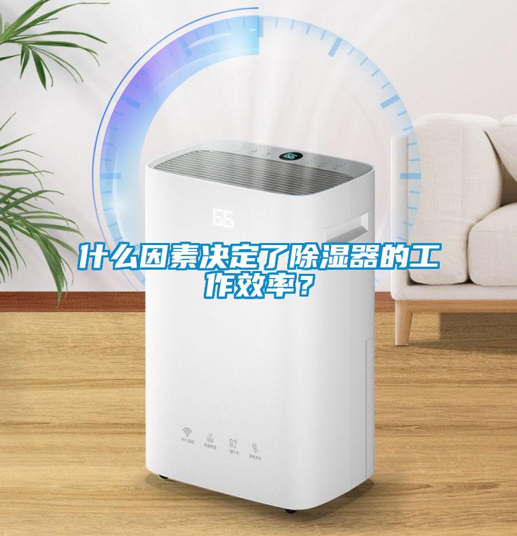 什么因素決定了除濕器的工作效率？