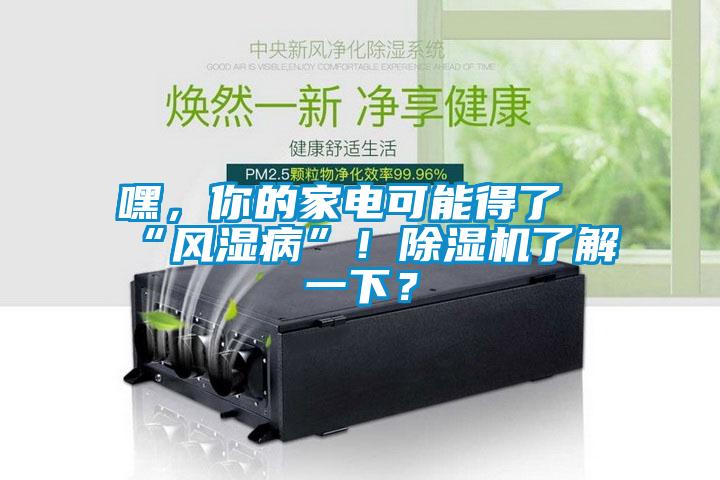 嘿，你的家電可能得了“風(fēng)濕病”！除濕機(jī)了解一下？