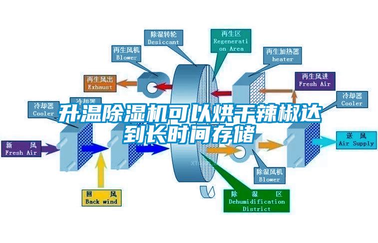 升溫除濕機(jī)可以烘干辣椒達(dá)到長(zhǎng)時(shí)間存儲(chǔ)