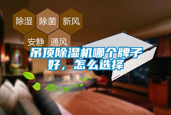 吊頂除濕機哪個牌子好，怎么選擇