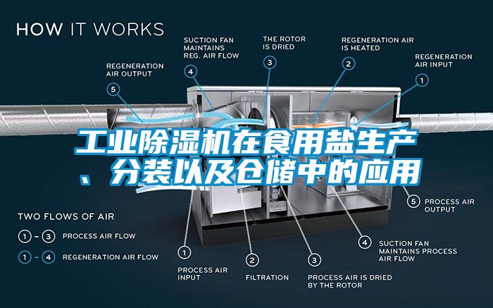 工業(yè)除濕機在食用鹽生產(chǎn)、分裝以及倉儲中的應(yīng)用