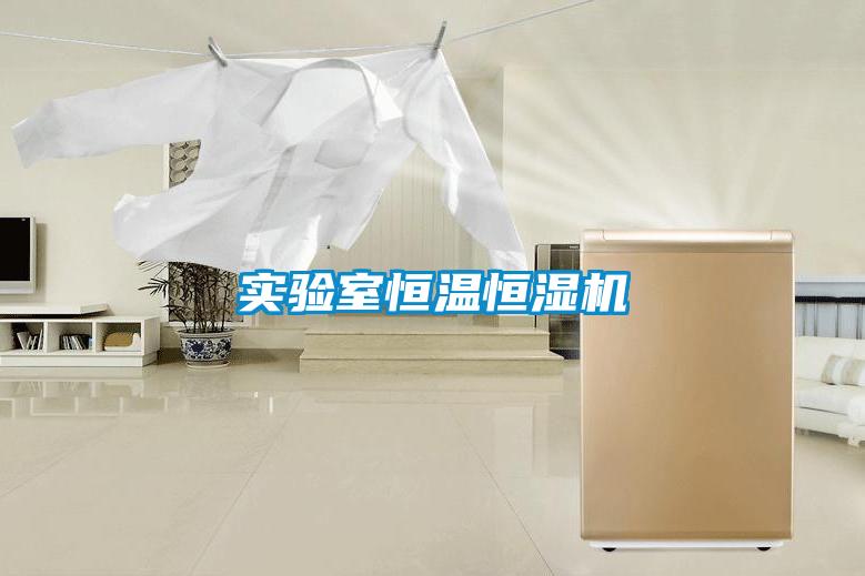 實驗室恒溫恒濕機(jī)
