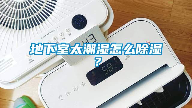 地下室太潮濕怎么除濕？