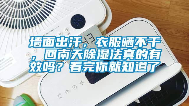 墻面出汗，衣服曬不干，回南天除濕法真的有效嗎？看完你就知道了