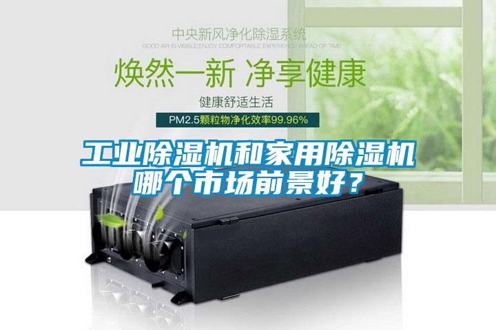 工業(yè)除濕機和家用除濕機哪個市場前景好？