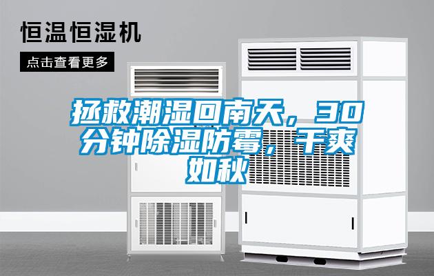 拯救潮濕回南天，30分鐘除濕防霉，干爽如秋