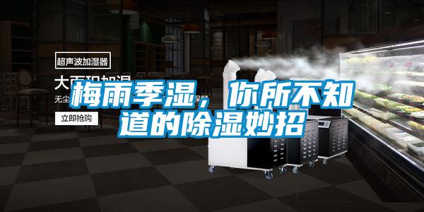 梅雨季濕，你所不知道的除濕妙招