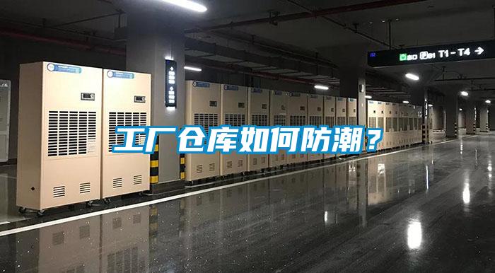 水力發(fā)電廠使用安詩曼除濕機擺脫潮濕煩惱