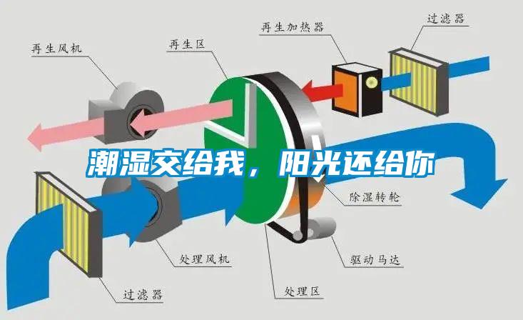 潮濕傷于無形，除濕機(jī)來防范