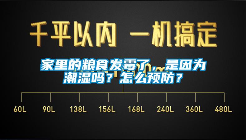 家里的糧食發(fā)霉了，是因為潮濕嗎？怎么預防？