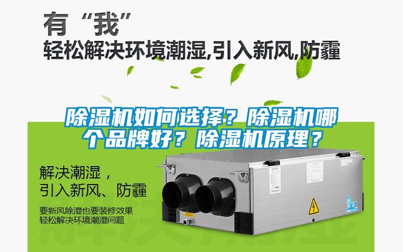 除濕機如何選擇？除濕機哪個品牌好？除濕機原理？