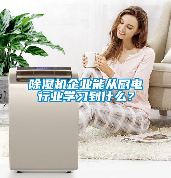 除濕機(jī)企業(yè)能從廚電行業(yè)學(xué)習(xí)到什么？