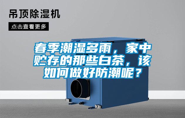 春季潮濕多雨，家中貯存的那些白茶，該如何做好防潮呢？