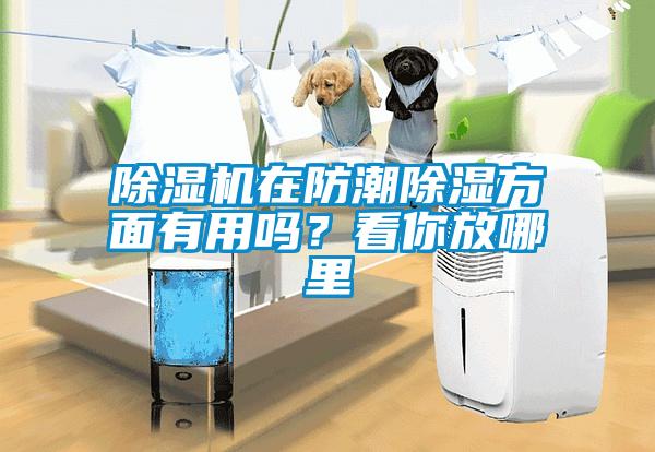 除濕機(jī)在防潮除濕方面有用嗎？看你放哪里