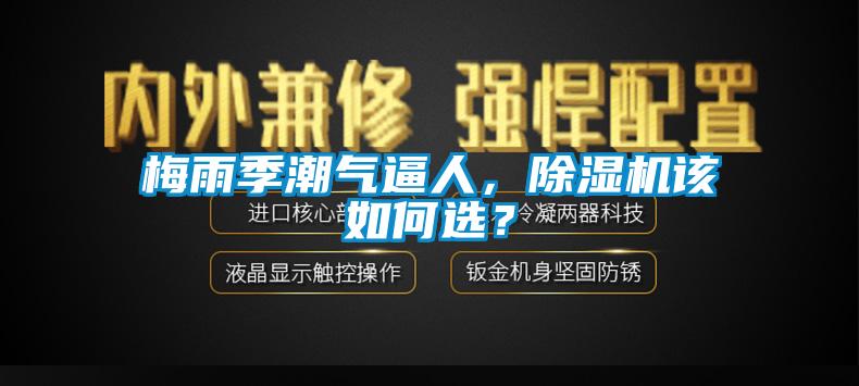 梅雨季潮氣逼人，除濕機(jī)該如何選？