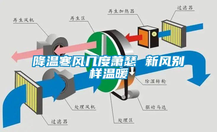 降溫寒風幾度蕭瑟 新風別樣溫暖