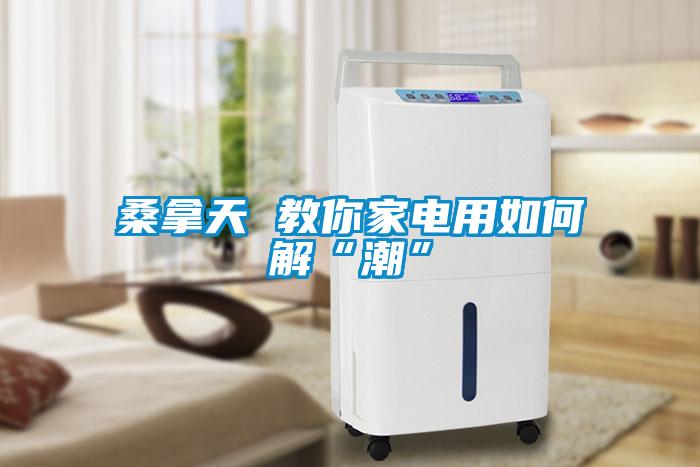 桑拿天 教你家電用如何解“潮”