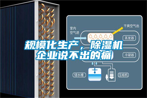 規(guī)模化生產(chǎn)，除濕機(jī)企業(yè)說不出的痛