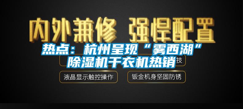 熱點：杭州呈現(xiàn)“霧西湖”除濕機干衣機熱銷