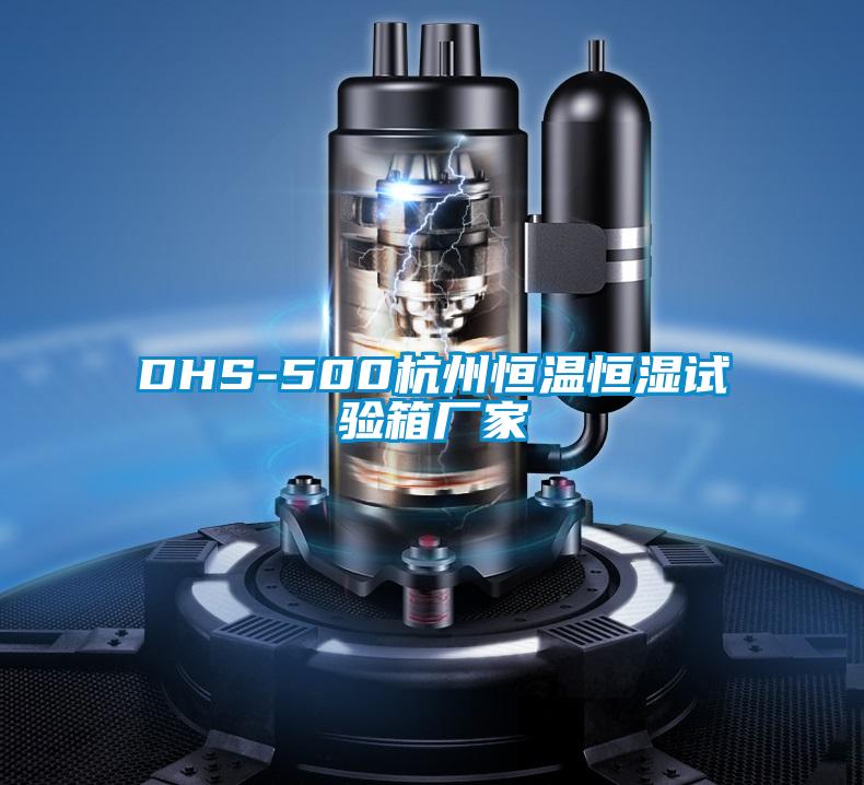 DHS-500杭州恒溫恒濕試驗(yàn)箱廠(chǎng)家