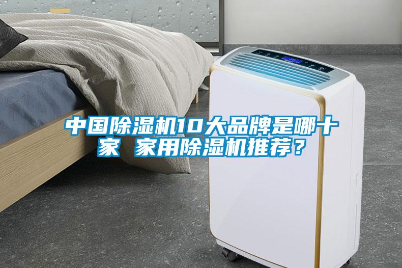 中國除濕機10大品牌是哪十家 家用除濕機推薦？