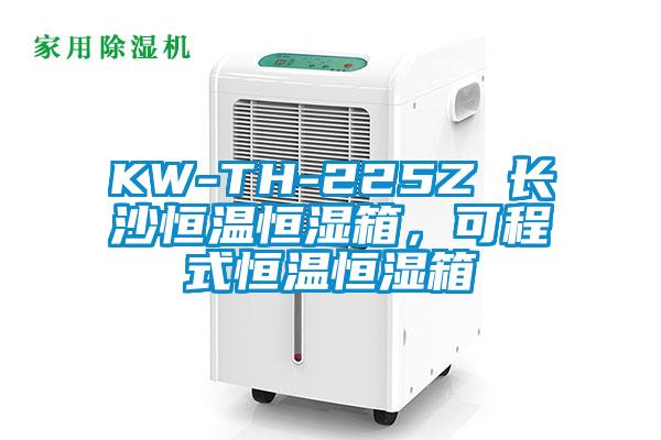 KW-TH-225Z 長(zhǎng)沙恒溫恒濕箱，可程式恒溫恒濕箱