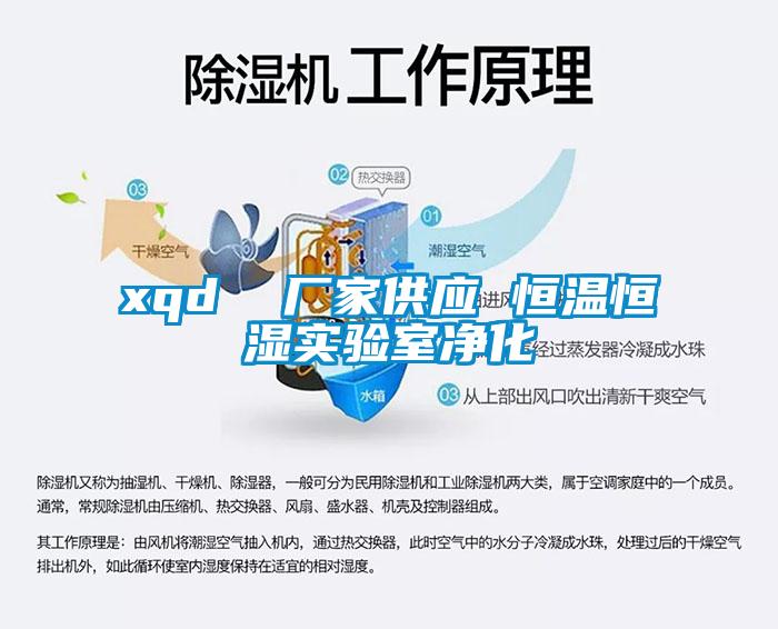 xqd  廠家供應(yīng) 恒溫恒濕實(shí)驗(yàn)室凈化