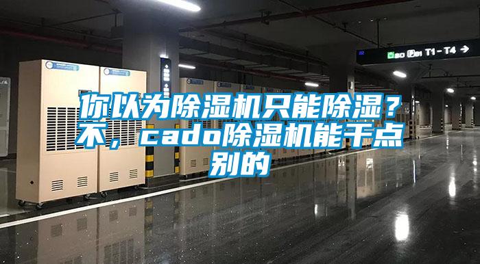 你以為除濕機只能除濕？不，cado除濕機能干點別的