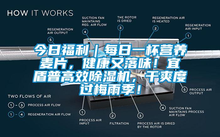 今日福利｜每日一杯營養(yǎng)麥片，健康又落味！宜盾普高效除濕機(jī)，干爽度過梅雨季！