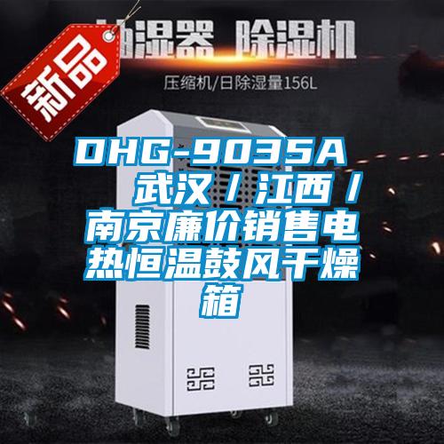 DHG-9035A   武漢／江西／南京廉價(jià)銷(xiāo)售電熱恒溫鼓風(fēng)干燥箱