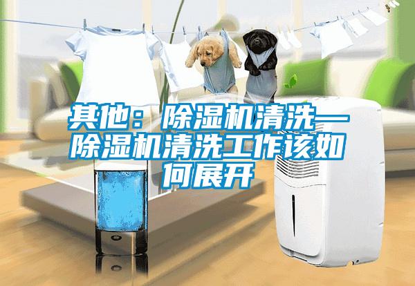 其他：除濕機清洗—除濕機清洗工作該如何展開