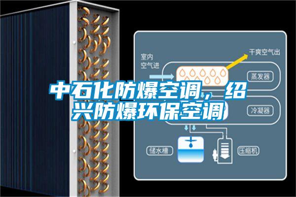 中石化防爆空調(diào)，紹興防爆環(huán)?？照{(diào)