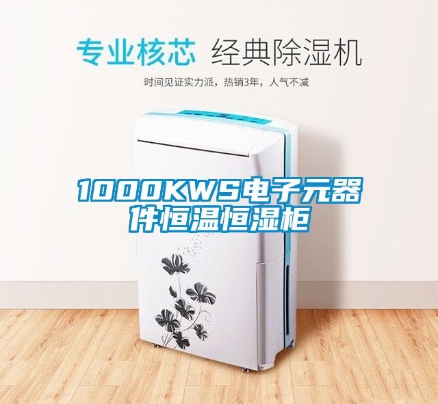 1000KWS電子元器件恒溫恒濕柜