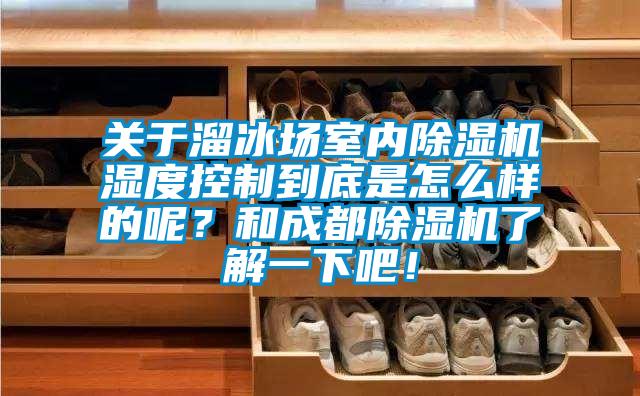 關于溜冰場室內除濕機濕度控制到底是怎么樣的呢？和成都除濕機了解一下吧！