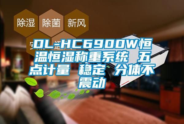 DL-HC6900W恒溫恒濕稱(chēng)重系統(tǒng) 五點(diǎn)計(jì)量 穩(wěn)定 分體不震動(dòng)