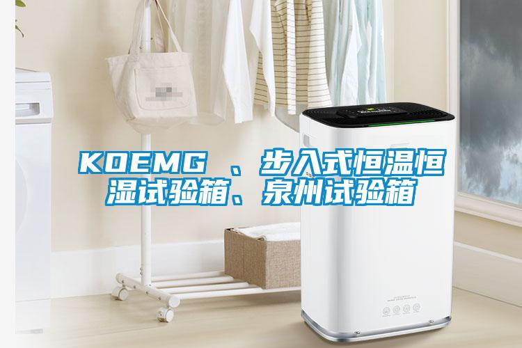 KOEMG 、步入式恒溫恒濕試驗箱、泉州試驗箱