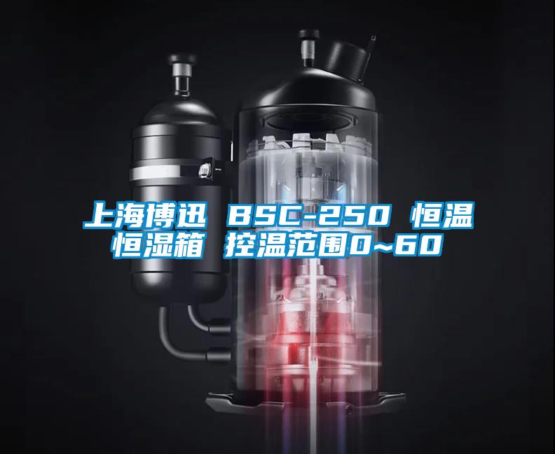 上海博迅 BSC-250 恒溫恒濕箱 控溫范圍0~60℃