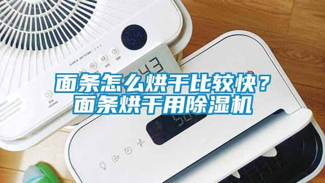 面條怎么烘干比較快？面條烘干用除濕機(jī)