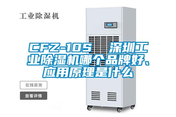 CFZ-10S  深圳工業(yè)除濕機(jī)哪個(gè)品牌好、應(yīng)用原理是什么