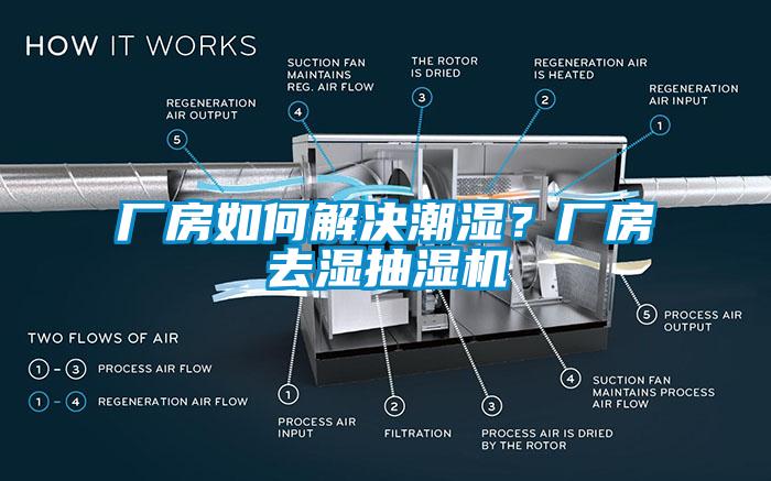 廠房如何解決潮濕？廠房去濕抽濕機