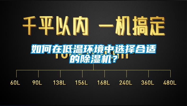 如何在低溫環(huán)境中選擇合適的除濕機？