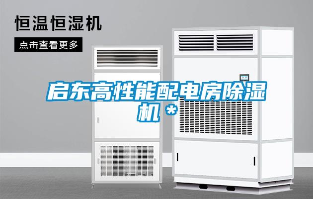 啟東高性能配電房除濕機＊