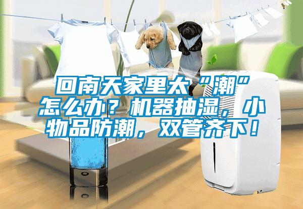 回南天家里太“潮”怎么辦？機(jī)器抽濕，小物品防潮，雙管齊下！